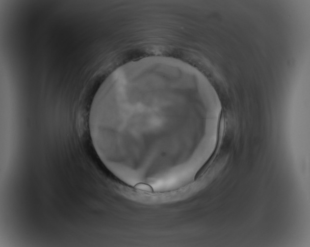 X0000086760043200705111724