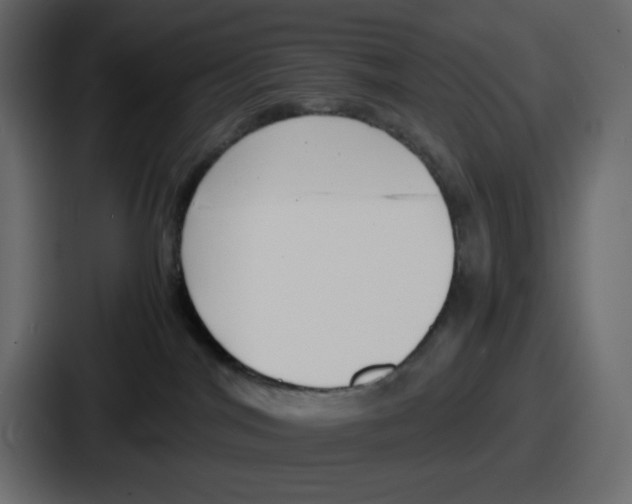 X0000086760044200705111724