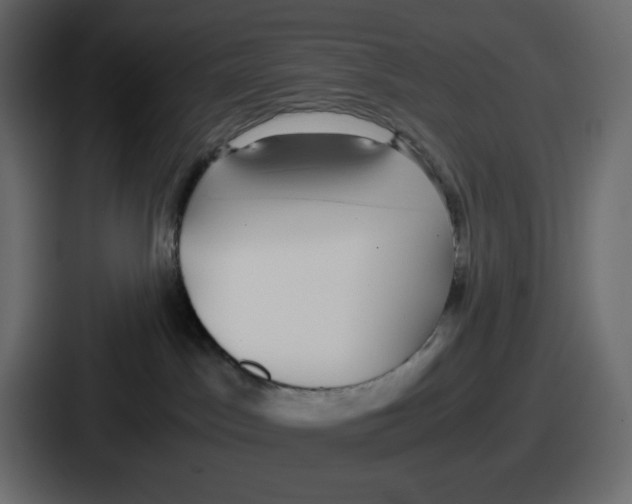 X0000086760045200705111724
