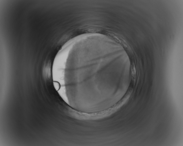 X0000086760046200705111724