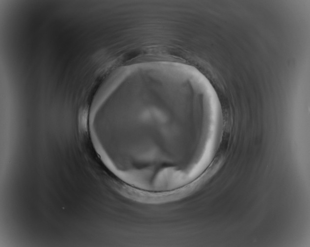 X0000086760047200705111724