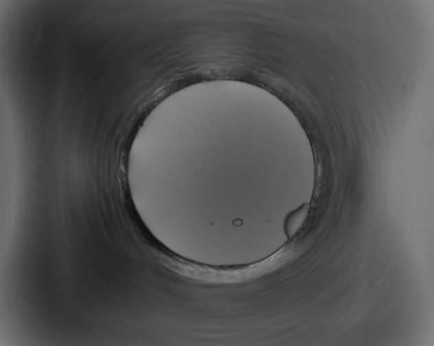 X0000086760048200705111724
