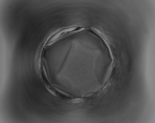 X0000086760050200705111723