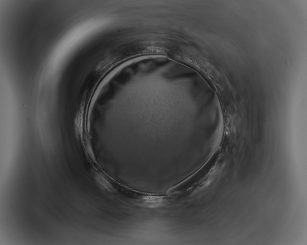 X0000086760052200705111723