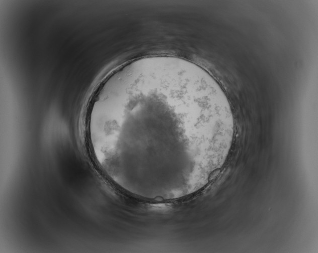 X0000086760053200705111723