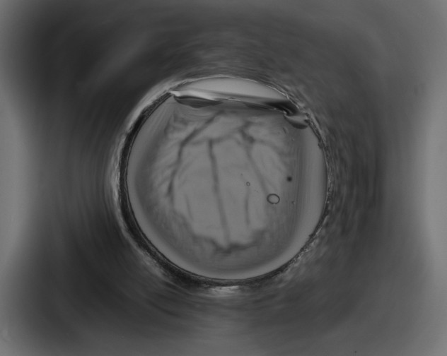 X0000086760054200705111723