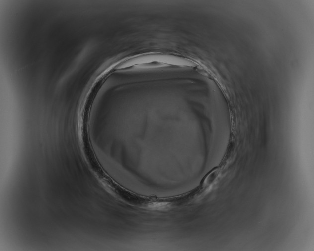 X0000086760055200705111723