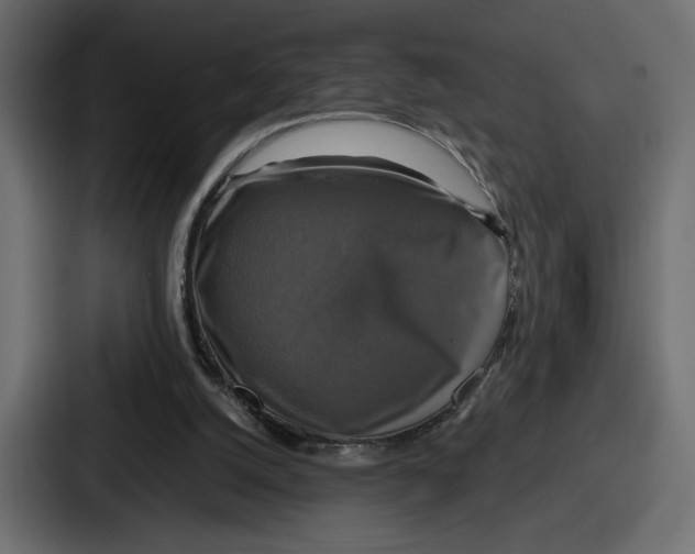 X0000086760056200705111723