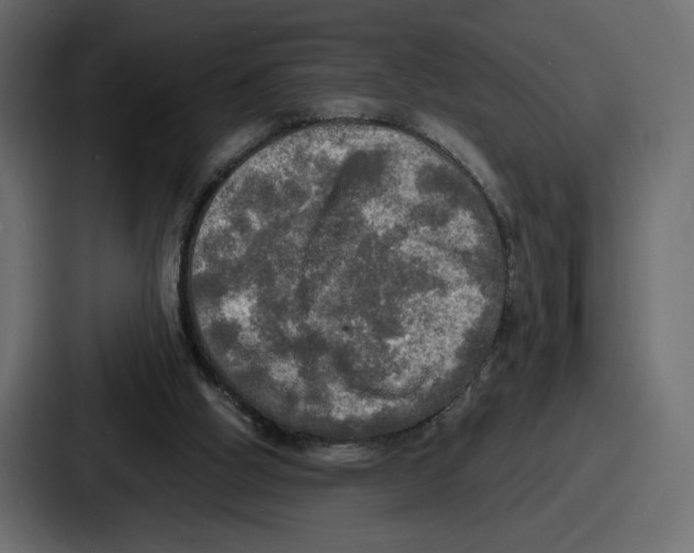 X0000086760058200705111723