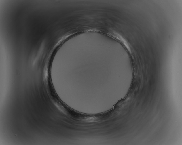 X0000086760059200705111723