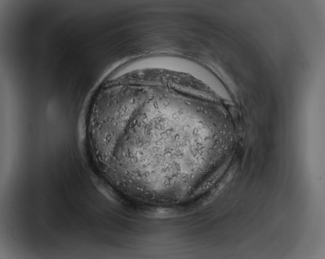 X0000086760060200705111723