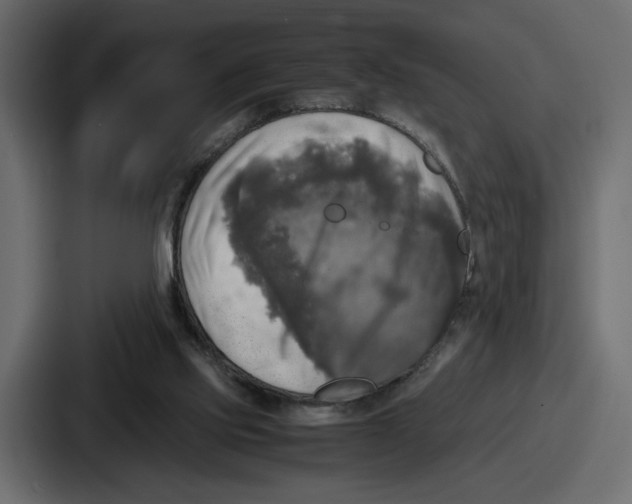 X0000086760061200705111723