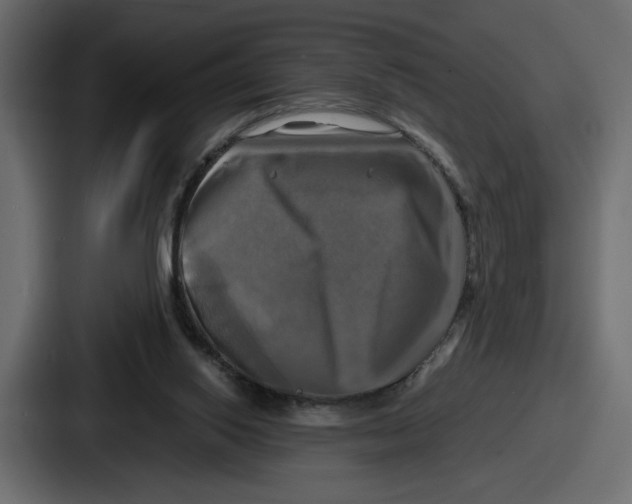 X0000086760062200705111723