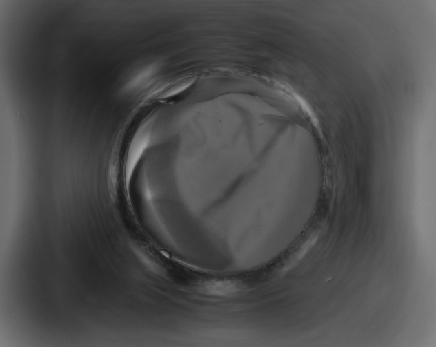 X0000086760063200705111723