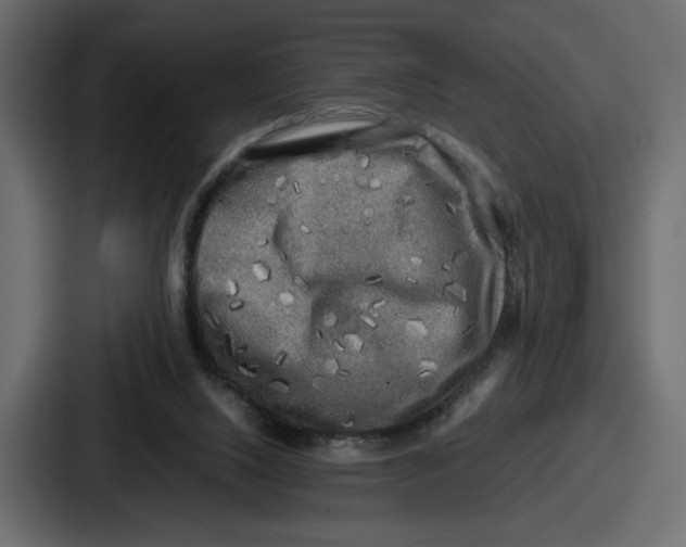X0000086760064200705111723