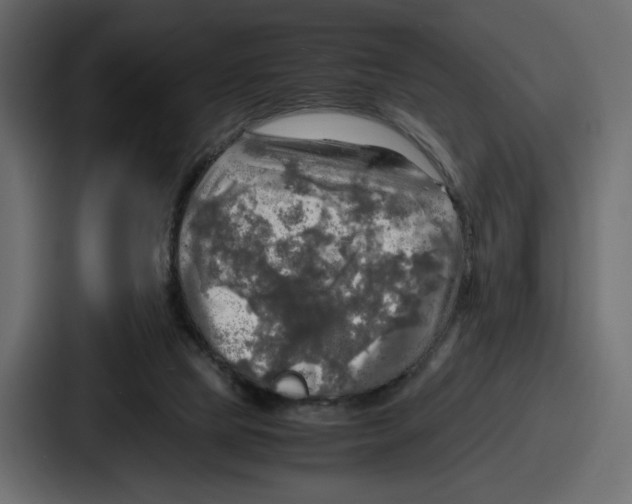 X0000086760065200705111723