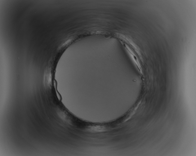 X0000086760067200705111723