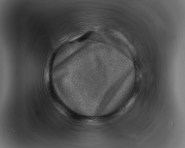 X0000086760068200705111723