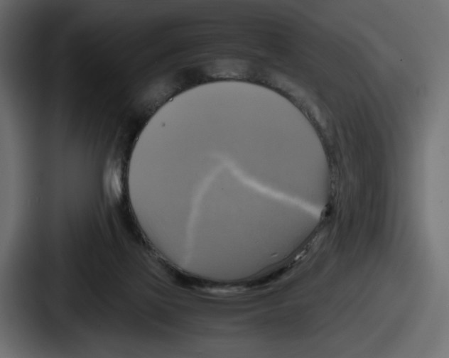 X0000086760069200705111723