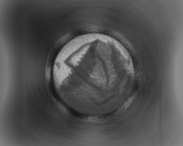 X0000086760070200705111723