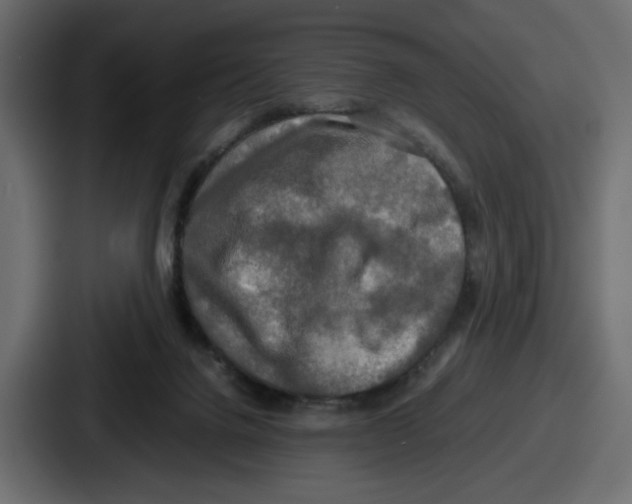 X0000086760072200705111723