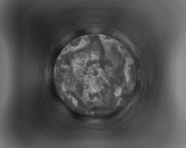 X0000086760073200705111723