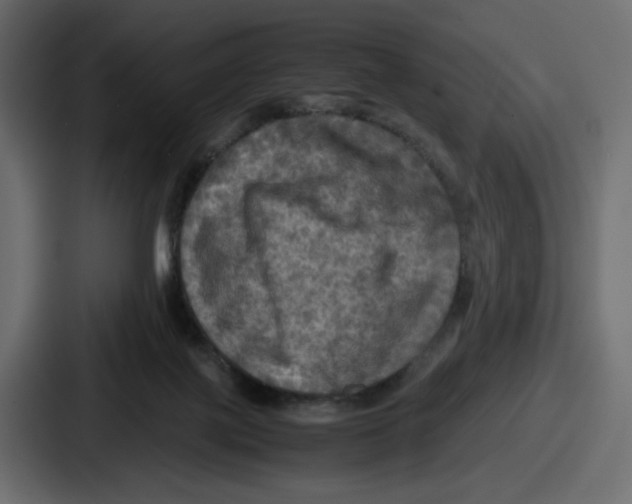 X0000086760075200705111723