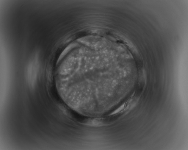X0000086760078200705111723