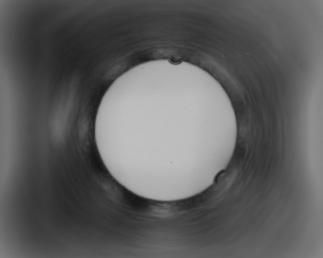 X0000086760079200705111723