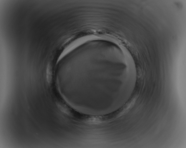 X0000086760080200705111723