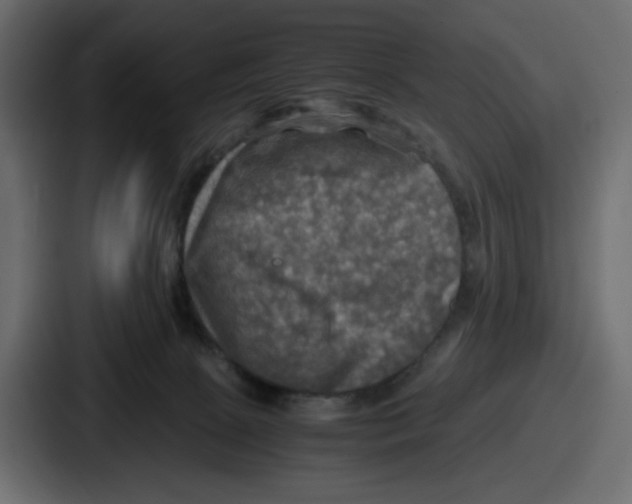 X0000086760081200705111723