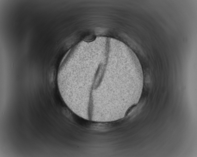 X0000086760082200705111724