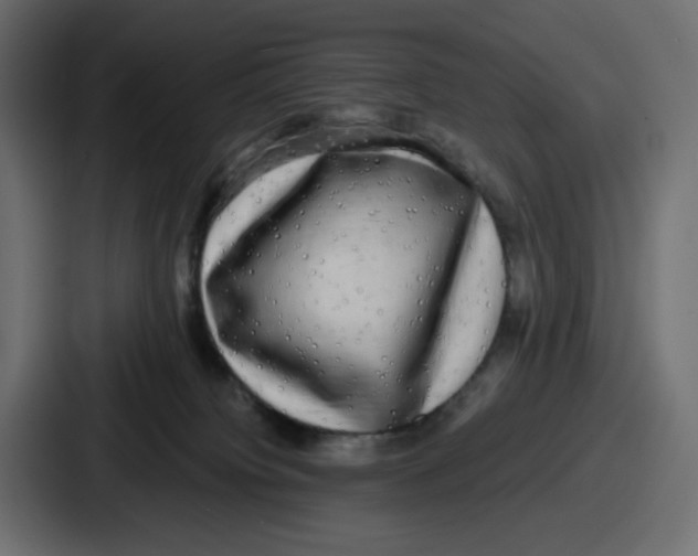 X0000086760084200705111724