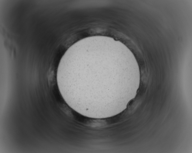 X0000086760087200705111724