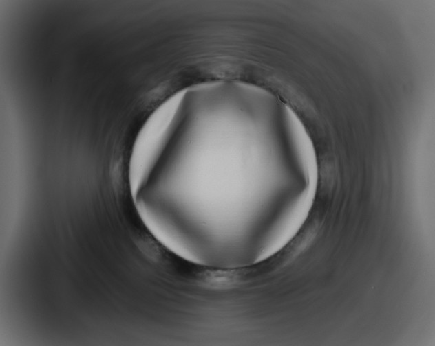 X0000086760088200705111724