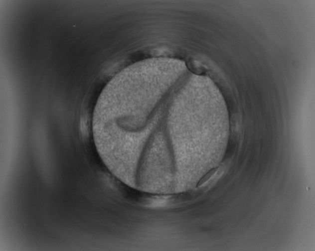 X0000086760090200705111724