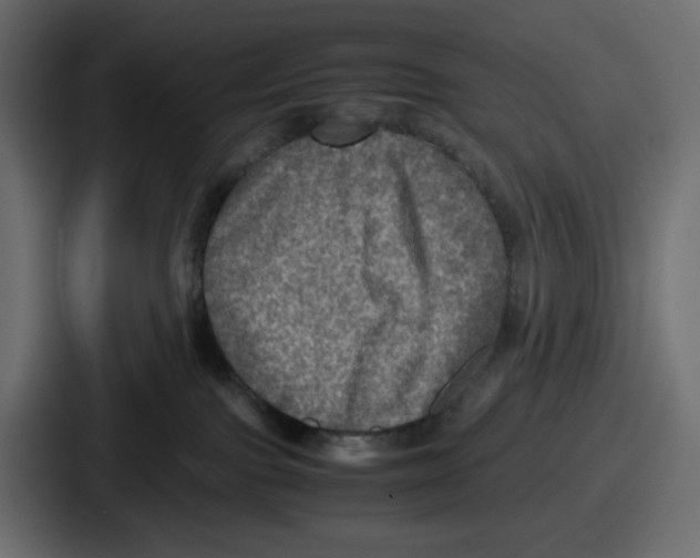 X0000086760091200705111724