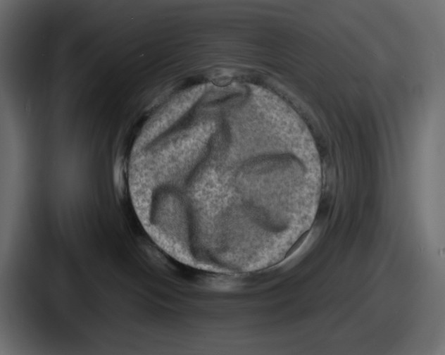 X0000086760094200705111724