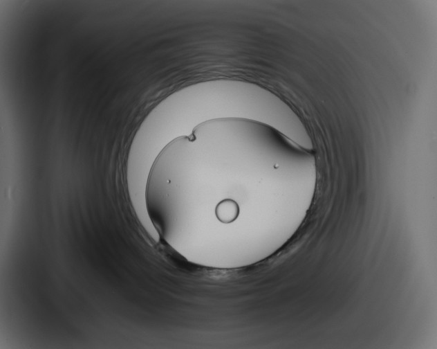 X0000086760096200705111724