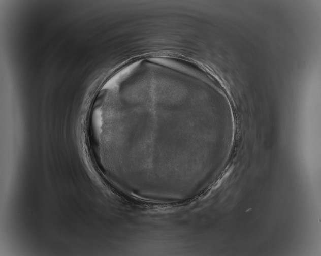 X0000086760097200705111723