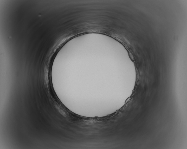 X0000086760098200705111723