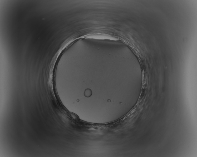 X0000086760099200705111723