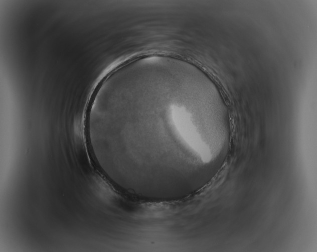 X0000086760100200705111723