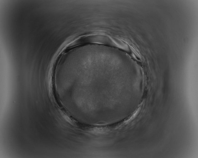 X0000086760101200705111723