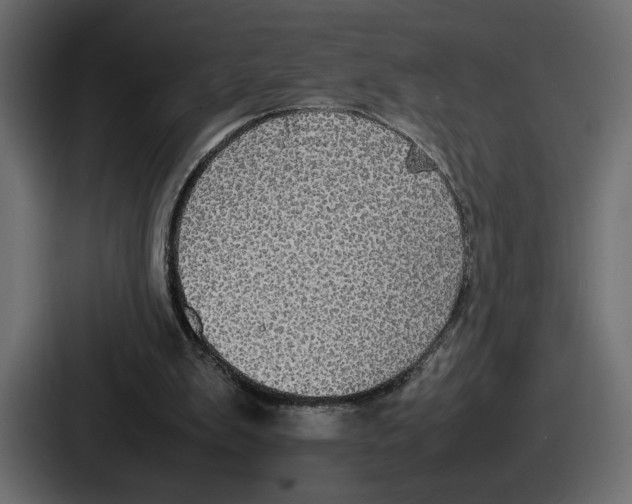 X0000086760103200705111723