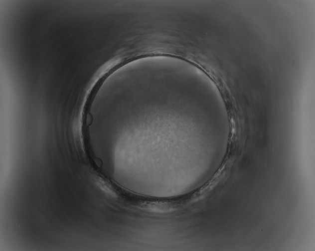 X0000086760104200705111723