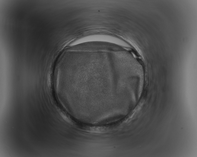 X0000086760105200705111723