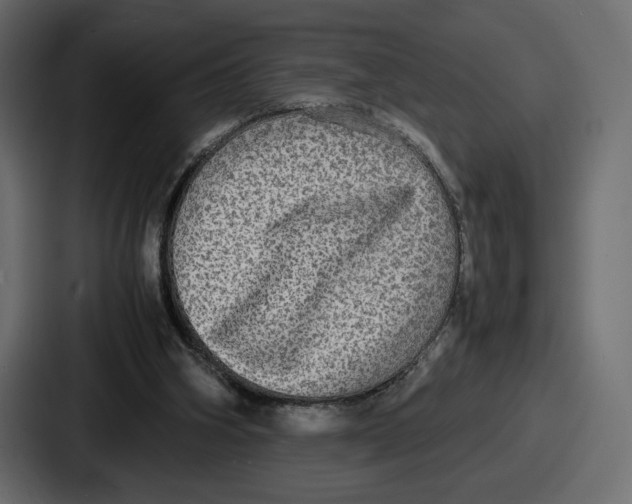 X0000086760106200705111723