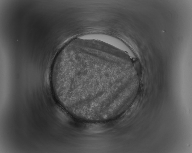 X0000086760107200705111723