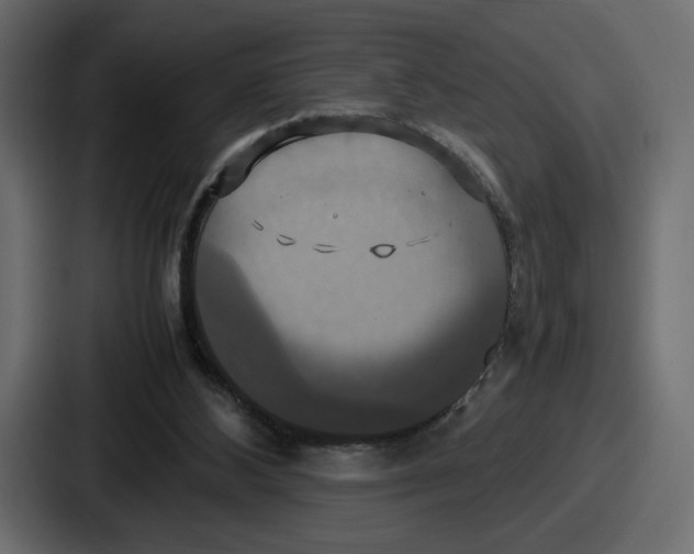 X0000086760108200705111723